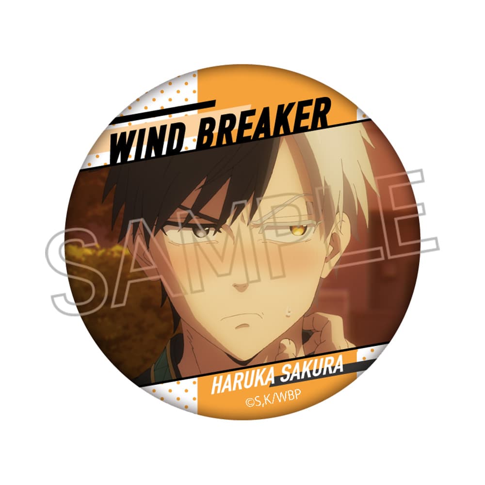 WIND BREAKER　百面相缶バッジVol.2