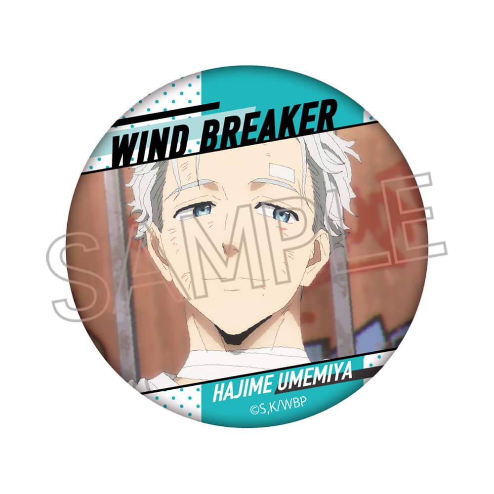 WIND BREAKER　百面相缶バッジVol.2