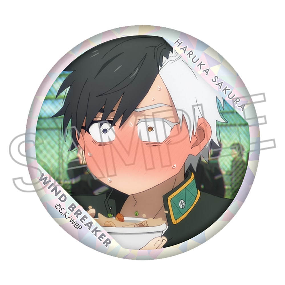 WIND BREAKER　百面相缶バッジVol.3