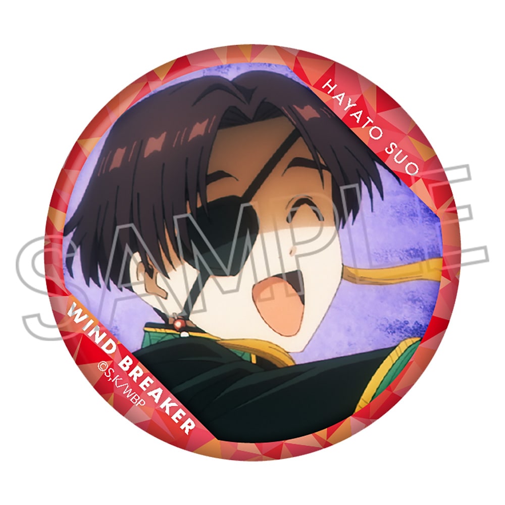 WIND BREAKER　百面相缶バッジVol.3